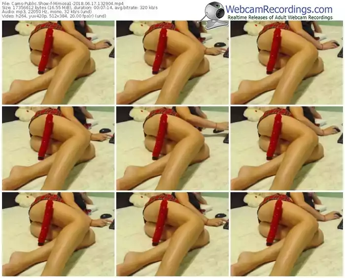 cams-mimosa1-webcam-show-06_17_2018-13_29_04