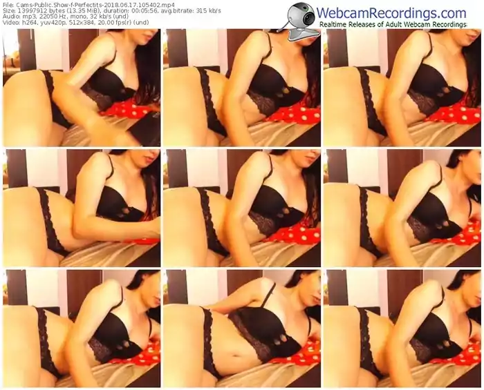 cams-perfectits-webcam-show-06_17_2018-10_54_02