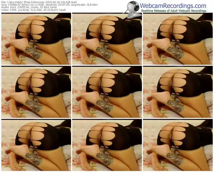 cams-mimosa1-webcam-show-06_18_2018-16_14_28