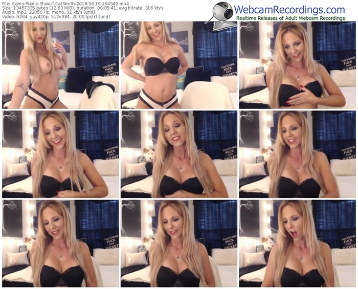 cams-catsmith-webcam-show-06_19_2018-16_49_49