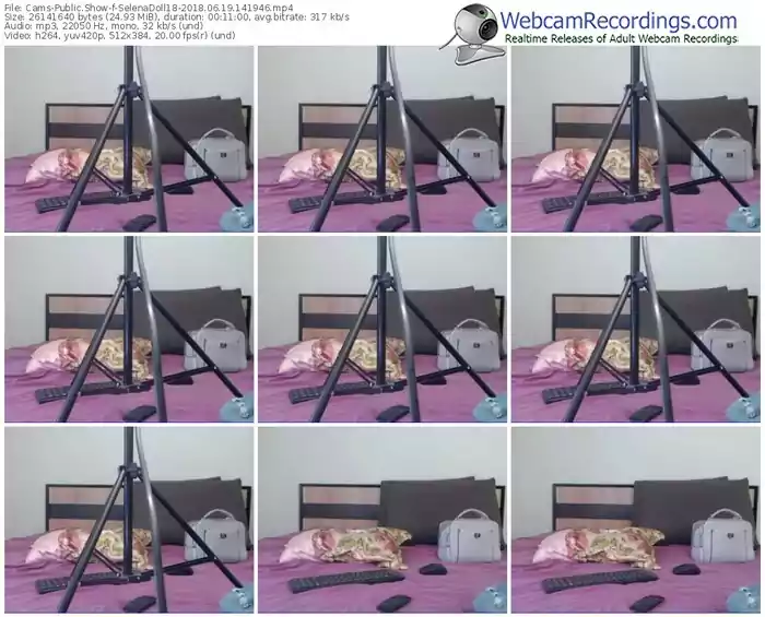 cams-selenadoll18-webcam-show-06_19_2018-14_19_46
