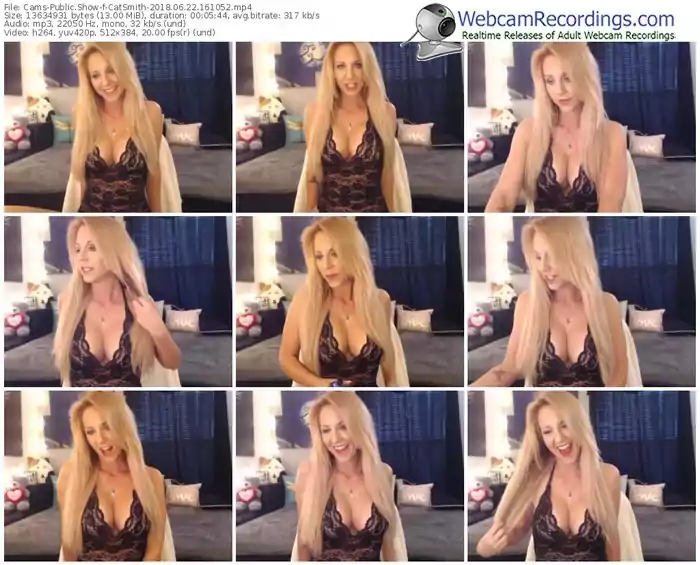 cams-catsmith-webcam-show-06_22_2018-16_10_52