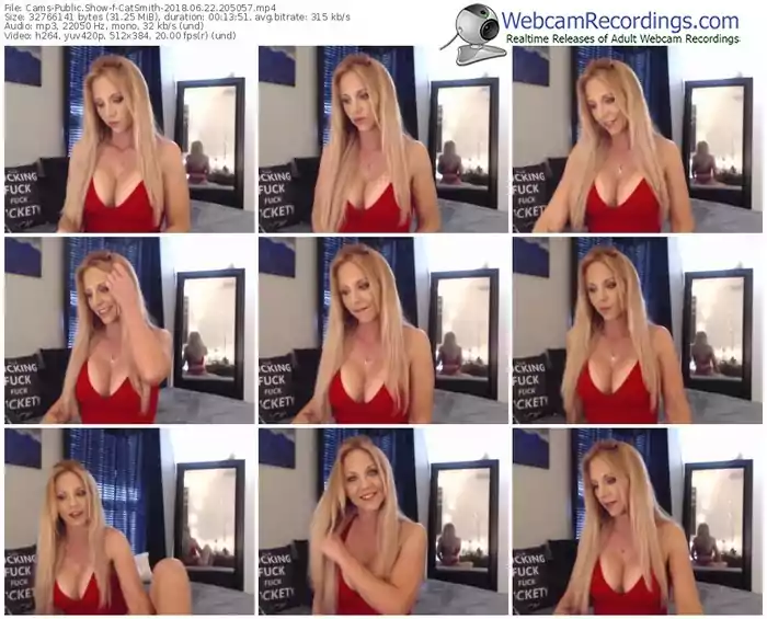cams-catsmith-webcam-show-06_22_2018-20_50_57
