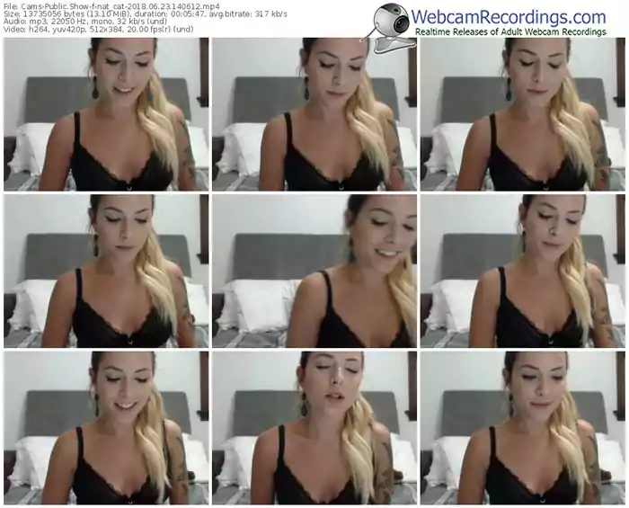 cams-nat_cat-webcam-show-06_23_2018-14_06_12