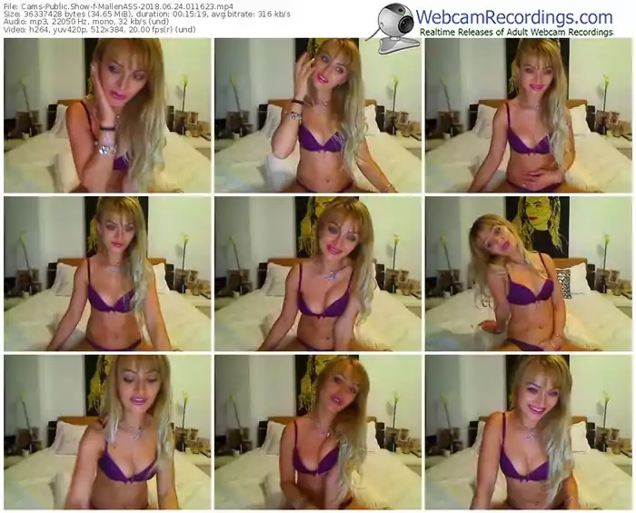 cams-mallenass-webcam-show-06_24_2018-01_16_23