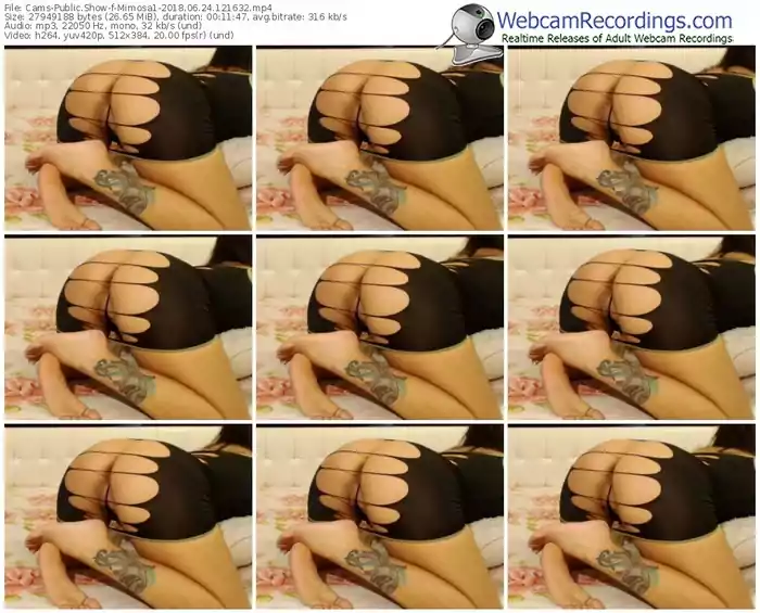 cams-mimosa1-webcam-show-06_24_2018-12_16_32