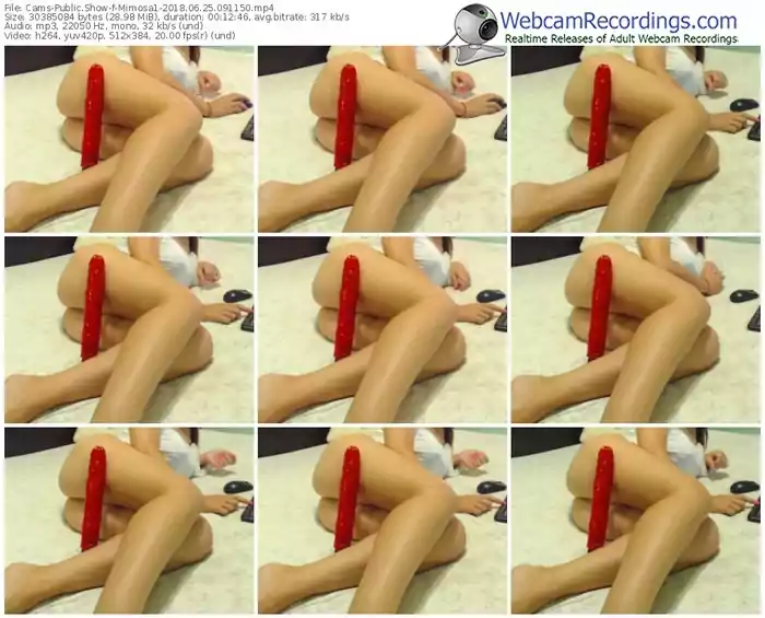 cams-mimosa1-webcam-show-06_25_2018-09_11_50