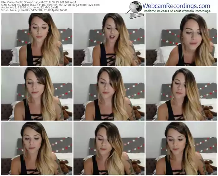 cams-nat_cat-webcam-show-06_25_2018-20_12_01