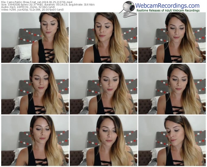 cams-nat_cat-webcam-show-06_25_2018-21_37_01