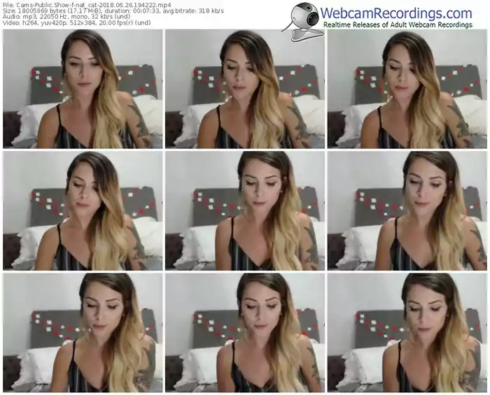 cams-nat_cat-webcam-show-06_26_2018-19_42_22