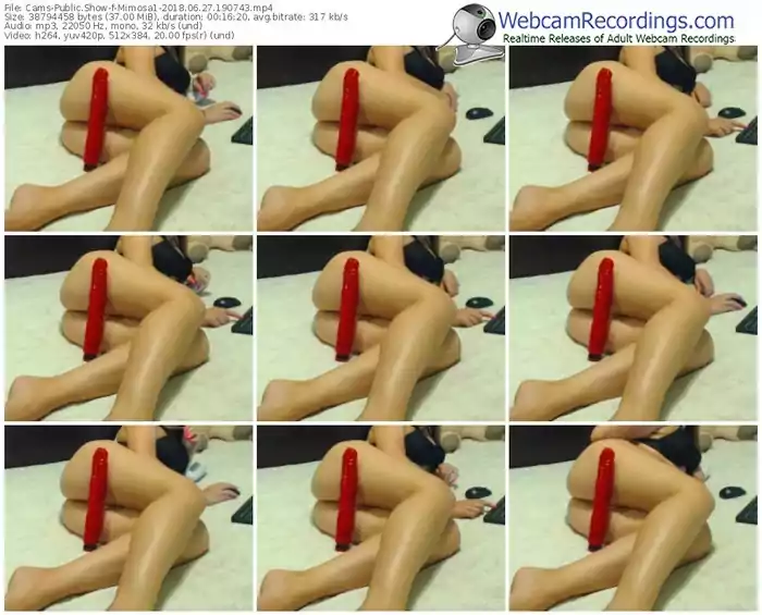 cams-mimosa1-webcam-show-06_27_2018-19_07_43