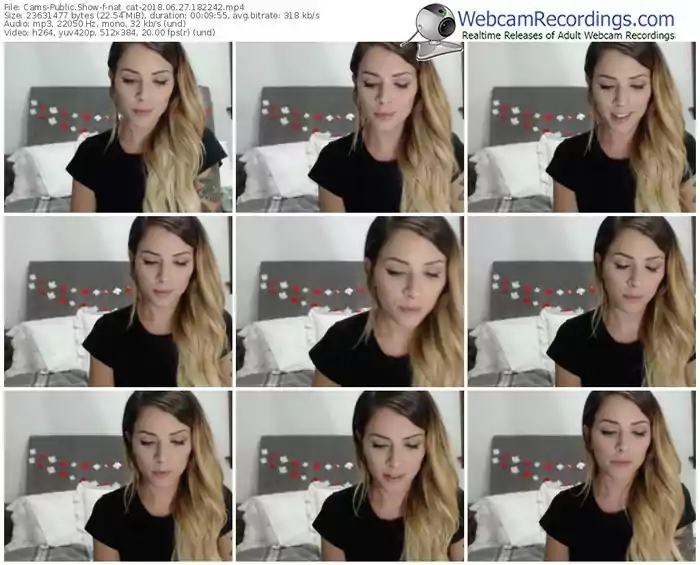 cams-nat_cat-webcam-show-06_27_2018-18_22_42