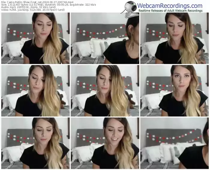 cams-nat_cat-webcam-show-06_27_2018-20_07_44