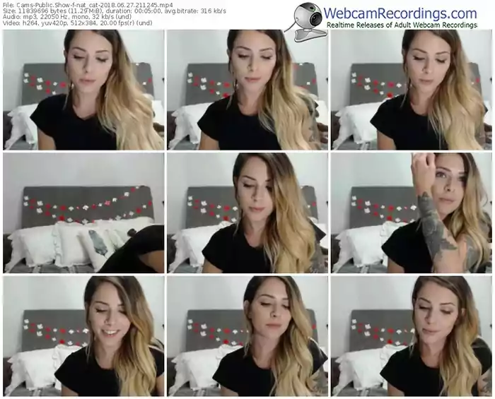 cams-nat_cat-webcam-show-06_27_2018-21_12_45