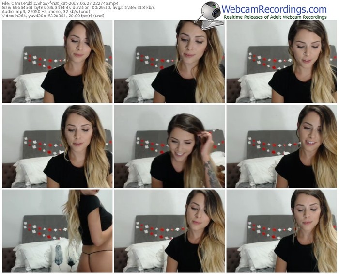 cams-nat_cat-webcam-show-06_27_2018-22_27_46
