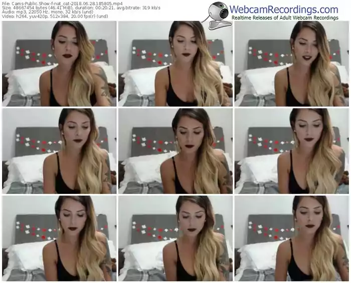 cams-nat_cat-webcam-show-06_28_2018-18_58_05