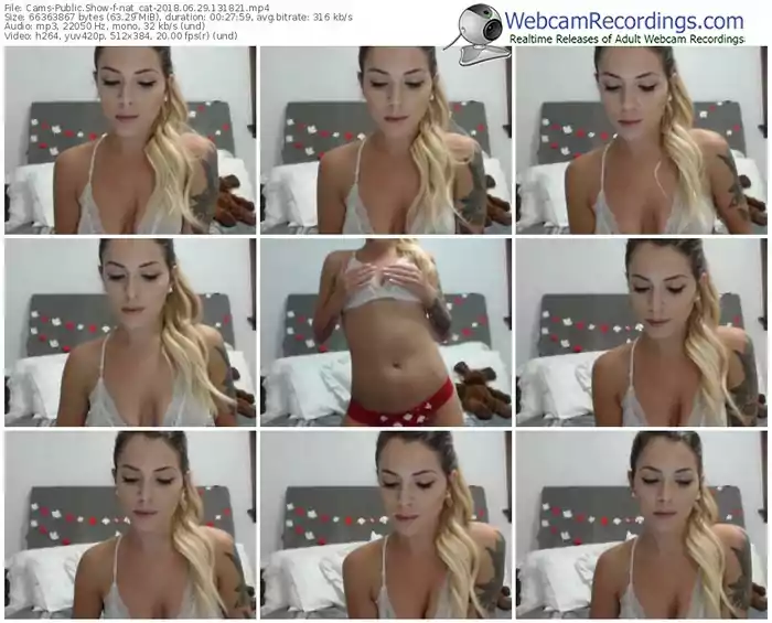 cams-nat_cat-webcam-show-06_29_2018-13_18_21