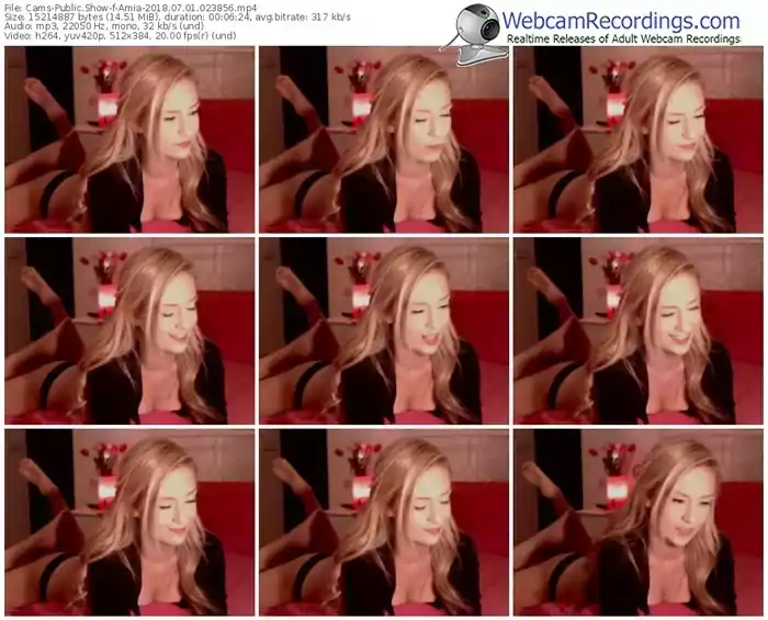 cams-amia-webcam-show-07_01_2018-02_38_56