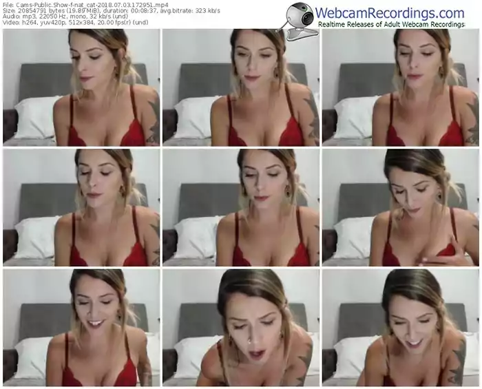 cams-nat_cat-webcam-show-07_03_2018-17_29_51