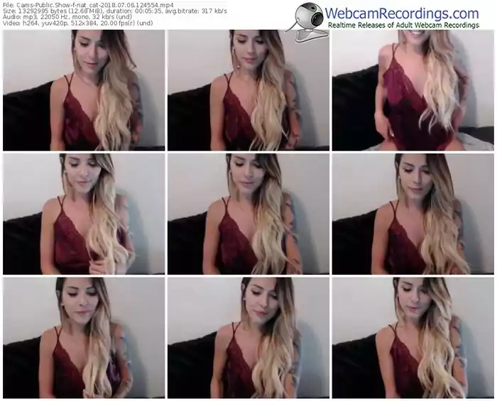 cams-nat_cat-webcam-show-07_06_2018-12_45_54