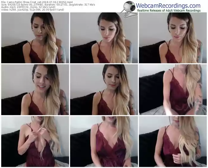 cams-nat_cat-webcam-show-07_06_2018-13_00_52