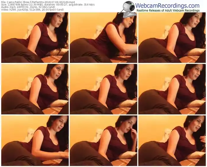 cams-perfectits-webcam-show-07_09_2018-00_21_49
