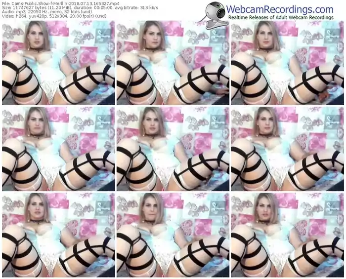 cams-merllin-webcam-show-07_13_2018-16_53_27