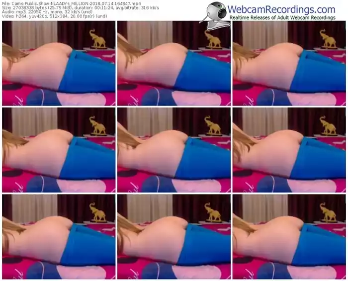 cams-laadys_million-webcam-show-07_14_2018-16_48_47