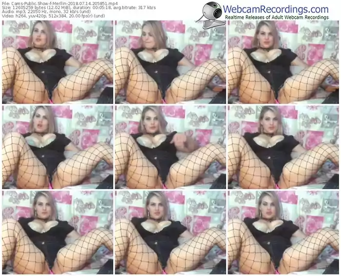 cams-merllin-webcam-show-07_14_2018-20_58_51