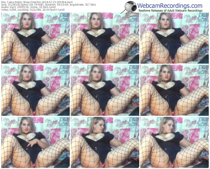 cams-merllin-webcam-show-07_15_2018-00_53_54