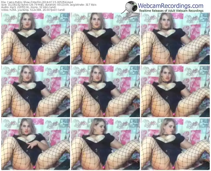 cams-merllin-webcam-show-07_15_2018-00_53_54