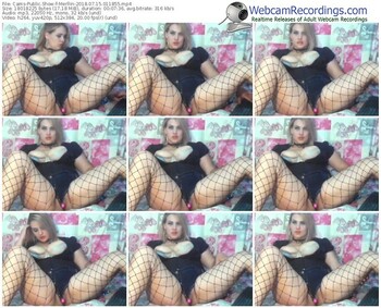 cams-merllin-webcam-show-07_15_2018-01_18_55