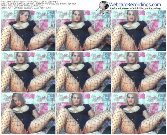 cams-merllin-webcam-show-07_15_2018-01_18_55
