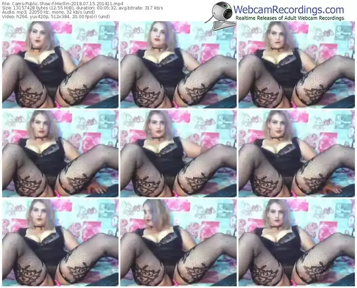 cams-merllin-webcam-show-07_15_2018-20_14_11