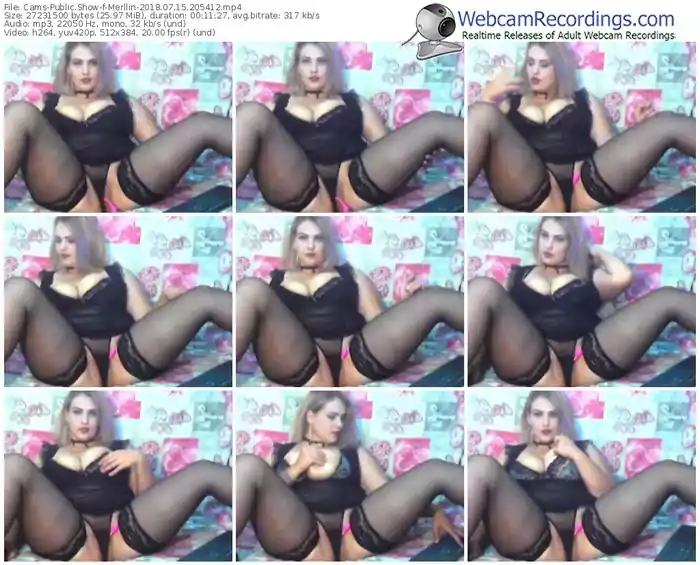 cams-merllin-webcam-show-07_15_2018-20_54_12