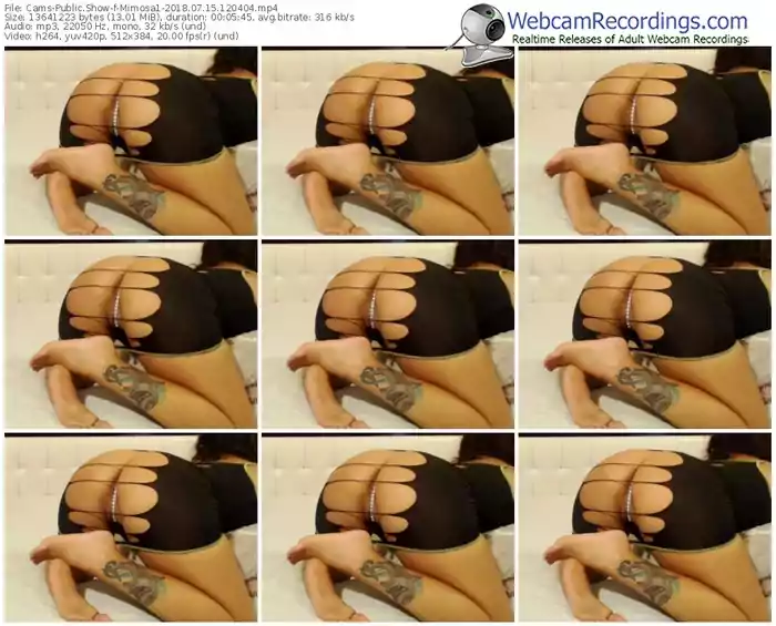 cams-mimosa1-webcam-show-07_15_2018-12_04_04