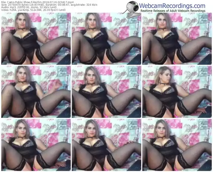 cams-merllin-webcam-show-07_16_2018-02_34_17