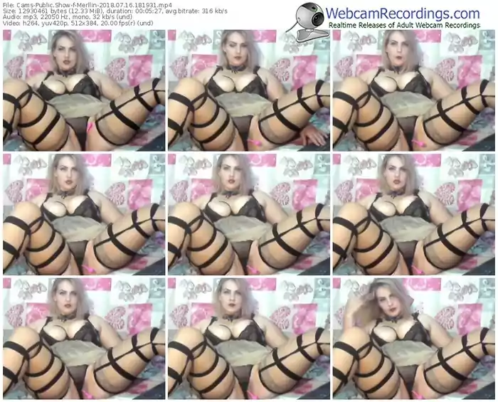 cams-merllin-webcam-show-07_16_2018-18_19_31
