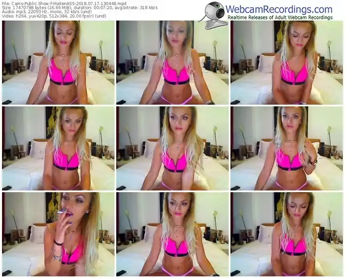 cams-mallenass-webcam-show-07_17_2018-13_04_48