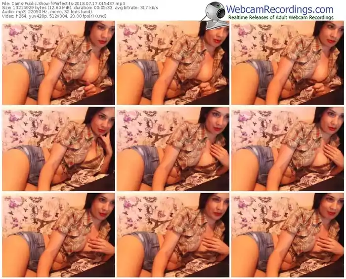 cams-perfectits-webcam-show-07_17_2018-01_54_37