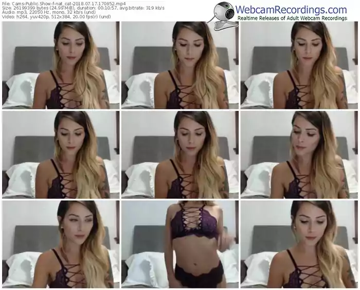 cams-nat_cat-webcam-show-07_17_2018-17_09_52