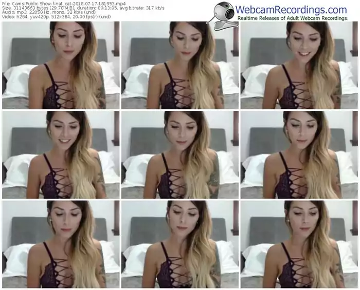 cams-nat_cat-webcam-show-07_17_2018-18_19_53