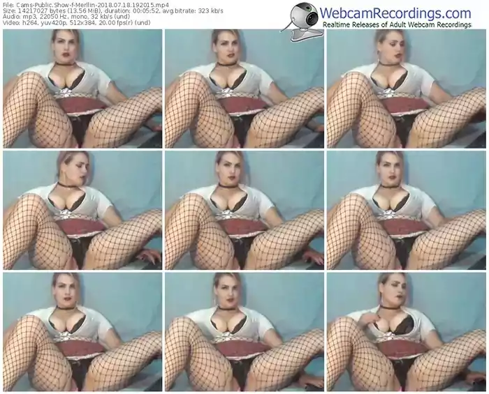 cams-merllin-webcam-show-07_18_2018-19_20_15