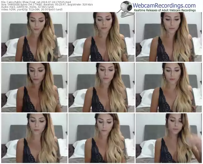 cams-nat_cat-webcam-show-07_18_2018-17_05_15
