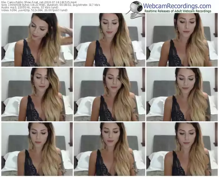 cams-nat_cat-webcam-show-07_18_2018-18_15_15