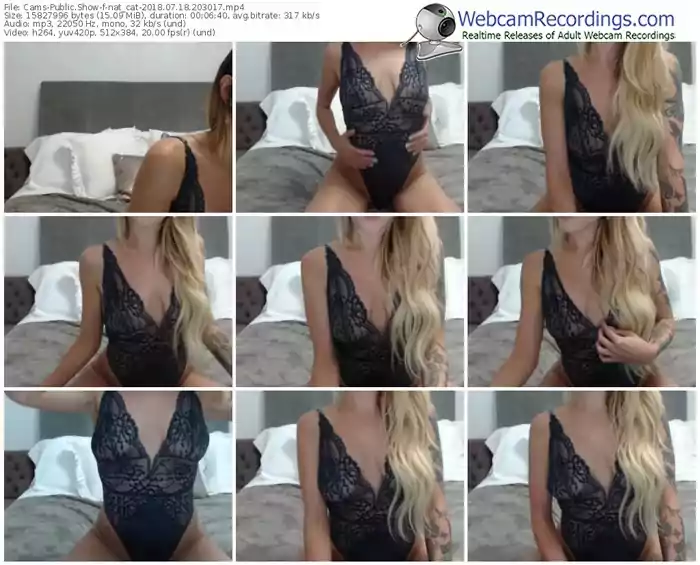 cams-nat_cat-webcam-show-07_18_2018-20_30_17