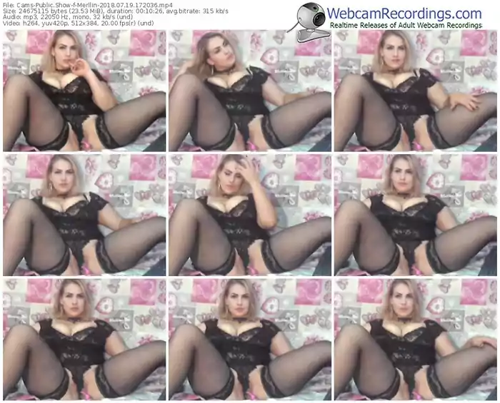 cams-merllin-webcam-show-07_19_2018-17_20_36