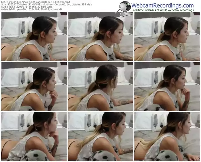 cams-nat_cat-webcam-show-07_19_2018-18_00_36