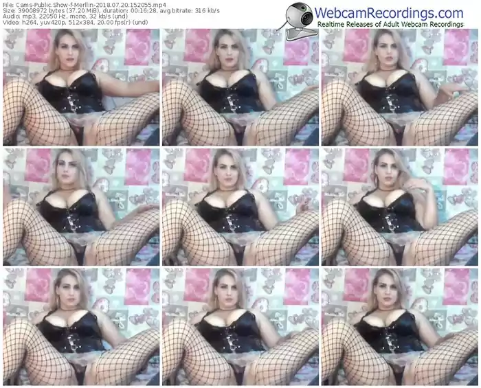 cams-merllin-webcam-show-07_20_2018-15_20_55