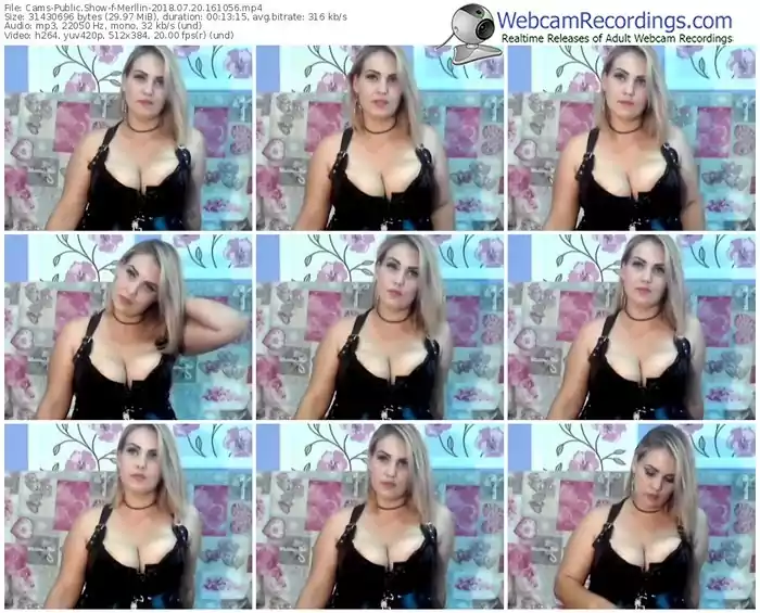 cams-merllin-webcam-show-07_20_2018-16_10_56